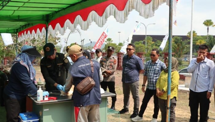 BKHIT Kalbar Kolaborasi Bersama Dinas Pertanian dan Pangan Kapuas Hulu