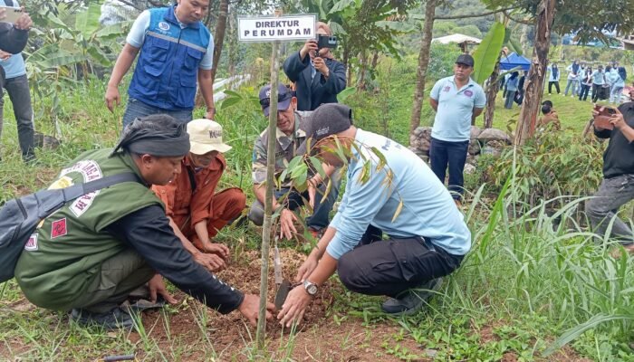 Tirta Galuh Gerakkan 1.000 Pohon, Jaga Air untuk Generasi Sehat