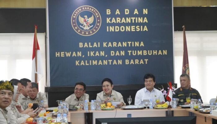 Ekspor Kratom dan Arwana Kapuas Hulu Menanjak Bahagia, Harapan Baru Petani Lokal