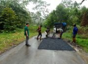 Tunjang Perekonomian dan Pariwisata, DPUBM Kabupaten Malang Rehabilitasi Jalan Tirtomarto – Sidorenggo