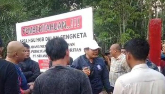 Bikin Penasaran! Menang Lelang Sesuai SOP Rp 530 Miliar, PT SPP Kok Belum Bisa Kuasai Aset Perkebunan?