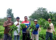 Pertamina Patra Niaga Sumbagsel Berdayakan Masyarakat Selesaikan Masalah Kekeringan dan Karhutla Melalui Program TJSL Sinergi Semambu