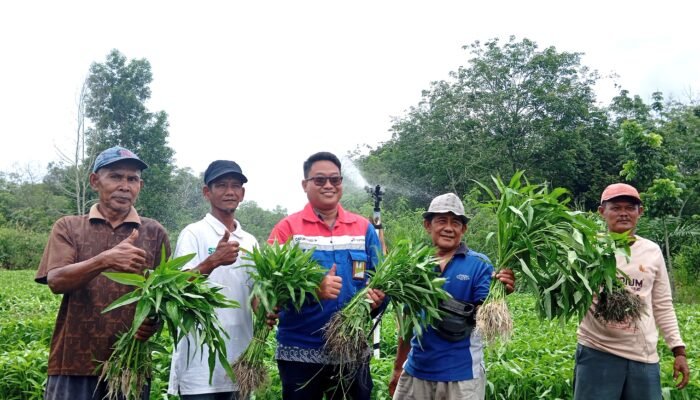 Pertamina Patra Niaga Sumbagsel Berdayakan Masyarakat Selesaikan Masalah Kekeringan dan Karhutla Melalui Program TJSL Sinergi Semambu