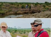 Menapak “Konspirasi” Perambahan Hutan Bakau di Muara Hilir Sungai Tamiang