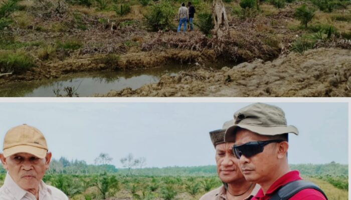 Menapak “Konspirasi” Perambahan Hutan Bakau di Muara Hilir Sungai Tamiang