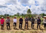 Wabup Sebut Jadikan Jagung bukan Sekedar Tanaman, Tetapi Sumber Kehidupan