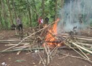 Forkopimcam Kalis Bakar Arena Sabung Ayam di Nanga Tubuk