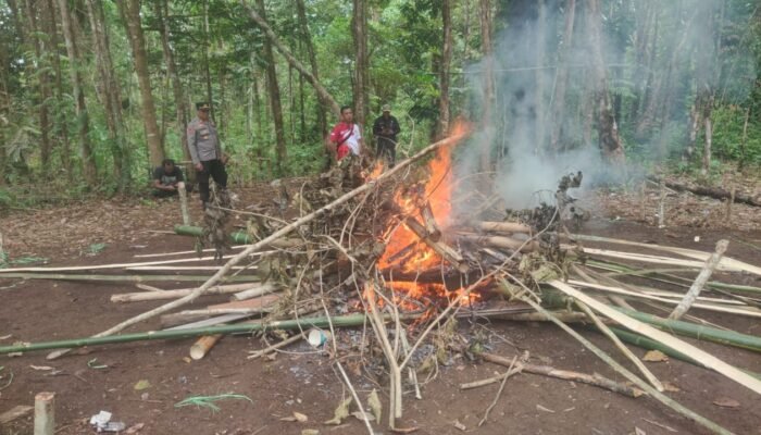 Forkopimcam Kalis Bakar Arena Sabung Ayam di Nanga Tubuk