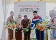 Pertamina EP Rantau Field Panen Raya dan Launching Program CSR Smart Farming