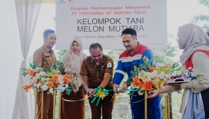 Pertamina EP Rantau Field Panen Raya dan Launching Program CSR Smart Farming