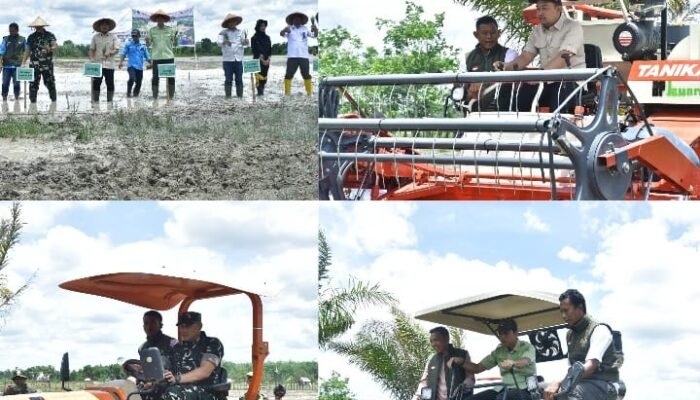 Momen Bupati Batang Hari Bersama Ketua DPRD Hasrofi dan Dandim 0415 Jambi Kendarai Alsintan