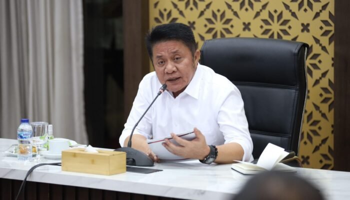 Sumsel Perkuat Ketahanan Pangan di Tengah Keterbatasan Infrastruktur