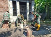 Wujud Nyata TMMD ke-126 Kodim 0816/Sidoarjo, Rumah Warga Desa Kedondong Disulap Jadi Layak Huni