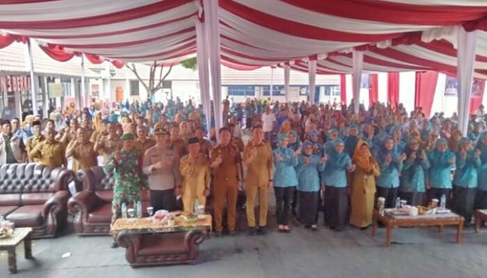 Ketua TP PKK OKI Dorong Inovasi dan Kolaborasi Kader di Kunjungan Kerja Desa Penyandingan