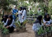 Energi yang Menyembuhkan: Dari Hulu Migas ke Tangan Perempuan Desa Gajah Mati