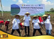 Dukung Swasembada Gula Nasional, Dinas Pertanian Tulungagung dan Kementan RI Lakukan Tanam Perdana Bongkar Ratoon Tebu