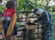 Pertamina Patra Niaga Regional Sumbagsel Dorong Kemandirian Ekonomi Hijau Lewat Budidaya Lebah Trigona di Desa Tanjung Dalam