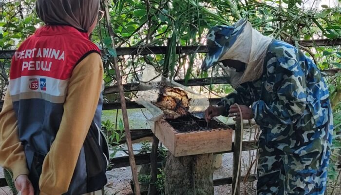 Pertamina Patra Niaga Regional Sumbagsel Dorong Kemandirian Ekonomi Hijau Lewat Budidaya Lebah Trigona di Desa Tanjung Dalam
