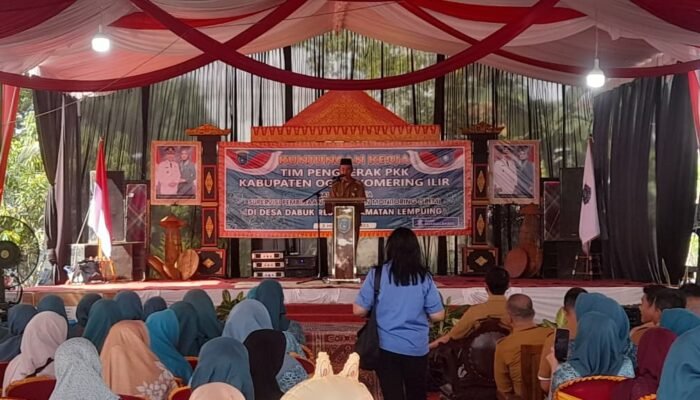 Gerakan PKK OKI Dinilai Kian Birokratis Agenda SPEM Cenderung Seremonial