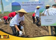 Harga Pupuk Subsidi Turun hingga 20 Persen, Petani Tulungagung Sambut Gembira Kebijakan Bersejarah Ini