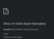 Akun Instagram dan Website WongKito.co dapat Serangan, karena Dukung Tempo Melawan Gugatan Mentan Amran Sulaiman