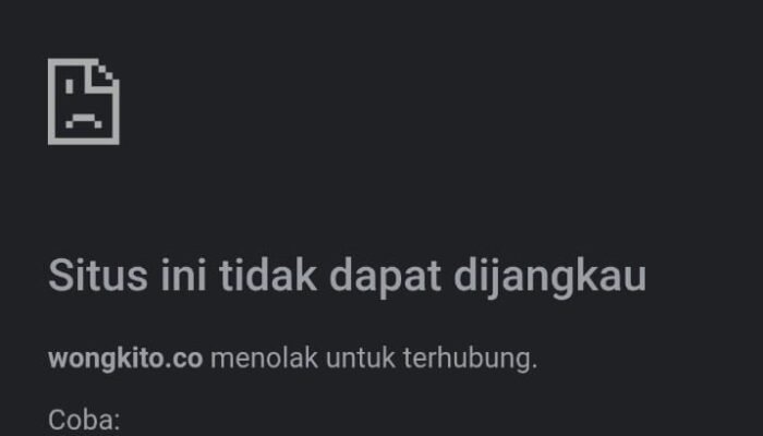 Akun Instagram dan Website WongKito.co dapat Serangan, karena Dukung Tempo Melawan Gugatan Mentan Amran Sulaiman