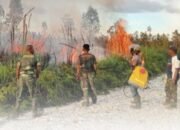 Instruksi Dandim 1803/Fakfak, Babinsa dan Warga Berhasil Padamkan Kebakaran di Distrik Bomberay