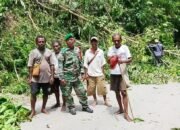 Dukung Kemajuan Pembangunan Kampung, Babinsa Kokas Gotong Royong Pasang Tiang Listrik