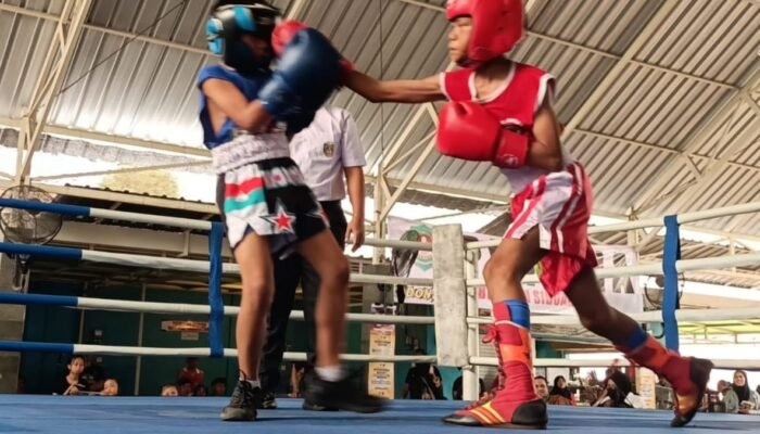 Pertina Sidoarjo Gelar Fun Fight Boxing, Diikuti 84 Atlet Tinju Amatir