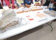 Polda Kepri Musnahkan BB Narkotika Hasil Ungkap Kasus selama Oktober 2025