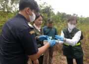 BKHIT Kalbar, Bea Cukai dan BNPP Lepasliarkan Burung Serindit Melayu