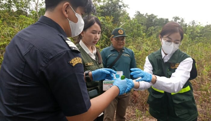 BKHIT Kalbar, Bea Cukai dan BNPP Lepasliarkan Burung Serindit Melayu