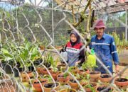 Pertamina Patra Niaga Regional Sumbagsel Perkuat Adaptasi Iklim dan Konservasi Tanaman di Kebun Raya Tuatunu