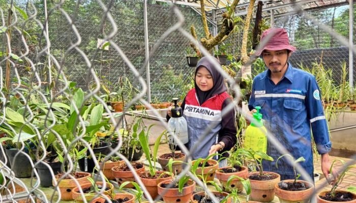 Pertamina Patra Niaga Regional Sumbagsel Perkuat Adaptasi Iklim dan Konservasi Tanaman di Kebun Raya Tuatunu