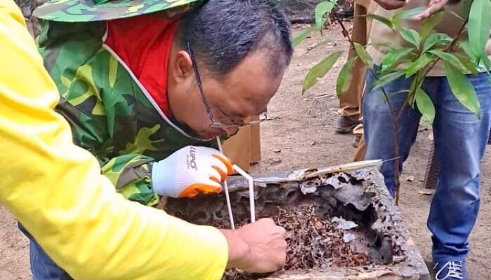 Pertamina Patra Niaga Regional Sumbagsel Kembangkan UMKM Arisi Menjadi Brand Madu dengan Omzet Miliaran Rupiah