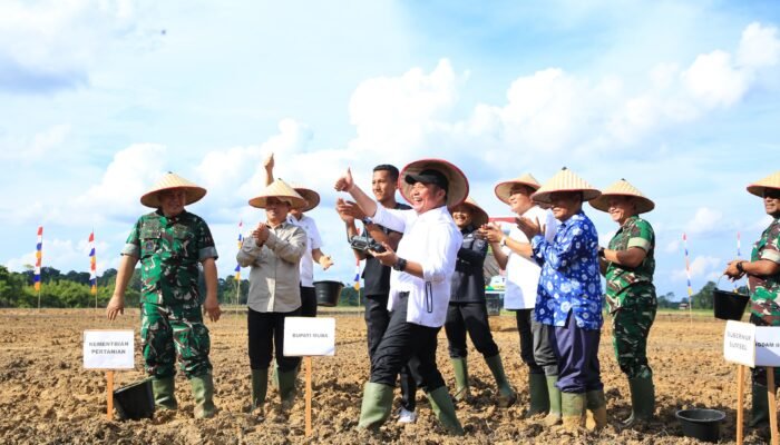 Sumsel Pacu Ketahanan Pangan Nasional Lewat Inovasi Sawah Rakyat di Muba