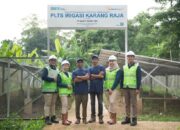 Dukung Aksi Iklim Berkelanjutan, PTBA Raih Penghargaan Pembina Desa Proklim 2025
