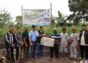 Panen Cabai dan Kerja Sama Bisnis Baru, Bukti Transformasi PETI Berjalan Sukses di Desa Darmo