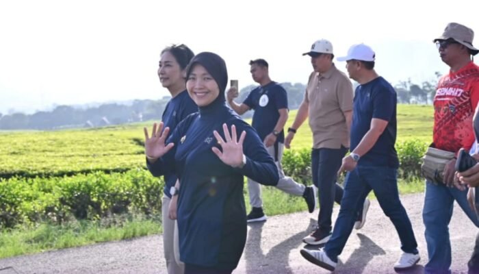 Kemenpar RI Dukung Rencana Cable Car Gunung Dempo