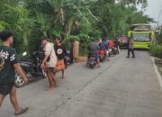 Ban Pecah, Mobil Pengangkut Ayam Masuk Jurang Sedalam 10 Meter di Kesesi