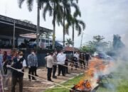 27 Kilo Gram Ganja Barang Bukti Dimusnahkan Di Polres Tanah Datar