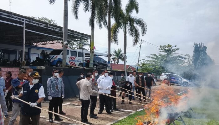 27 Kilo Gram Ganja Barang Bukti Dimusnahkan Di Polres Tanah Datar