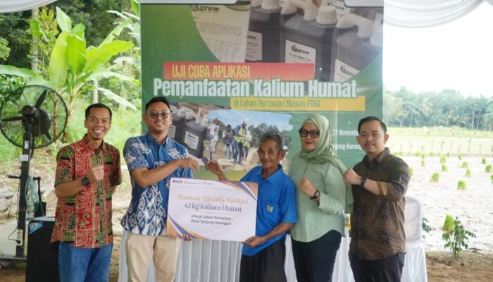 Langkah Nyata PTBA Tingkatkan Hasil Panen Petani Muara Enim Lewat Uji Coba Pemanfaatan Kalium Humat
