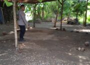 Respon Informasi Sabung Ayam, Polsek Tarik Cek Lokasi Hasil Nihil