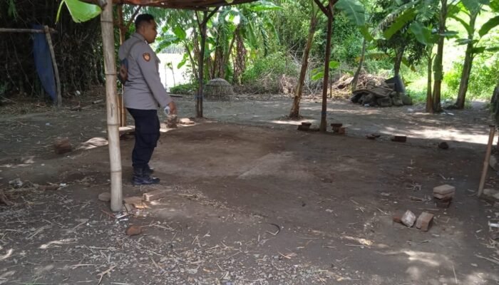 Respon Informasi Sabung Ayam, Polsek Tarik Cek Lokasi Hasil Nihil
