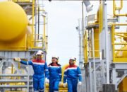 PGN Dorong Integrasi Infrastruktur Gas Bumi, Dukung Transisi Energi Berkelanjutan