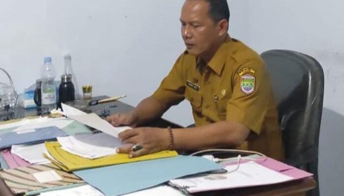 Kabid Perdagangan Ciamis Pastikan Harga Pangan Stabil Jelang Nataru dan Ramadan, Dorong Warga Manfaatkan Pekarangan