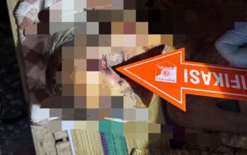 Lansia Asal Pagak Malang Jadi Korban Pembunuhan ODGJ