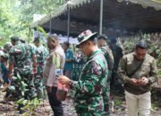 Dandim 1803/Fakfak Sebut Penanaman Pohon Penting untuk Jaga Ekosistem