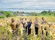 Panel Raya Jagung Serentak Kuartal 1, Polres Fakfak Dukung Ketahanan Pangan Nasional 